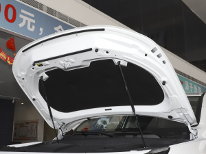 2022L˰ 1.5T CVTL lәCœ