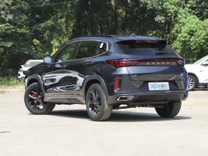 2022ِ 1.6T DCTLа 45