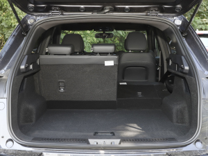 2022ِ 1.6T DCTLа g