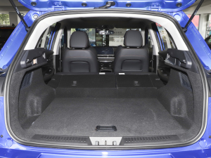 2022L˰ 1.5T CVTLа g