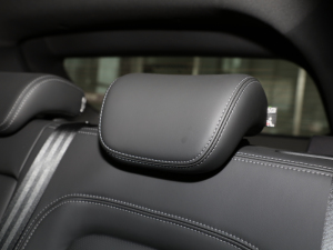 2022ِ 1.6T DCTL(fng) g