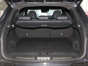 2022ِ 1.6T DCTL(fng) g