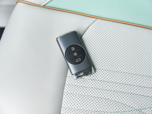 20221.5T CVTŮ ܇耳