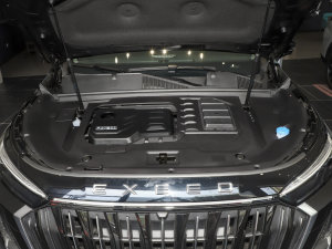 2023400T (q)ҫ 7 l(f)әC