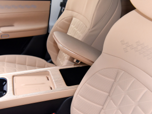 2024 540 Pro(q) g