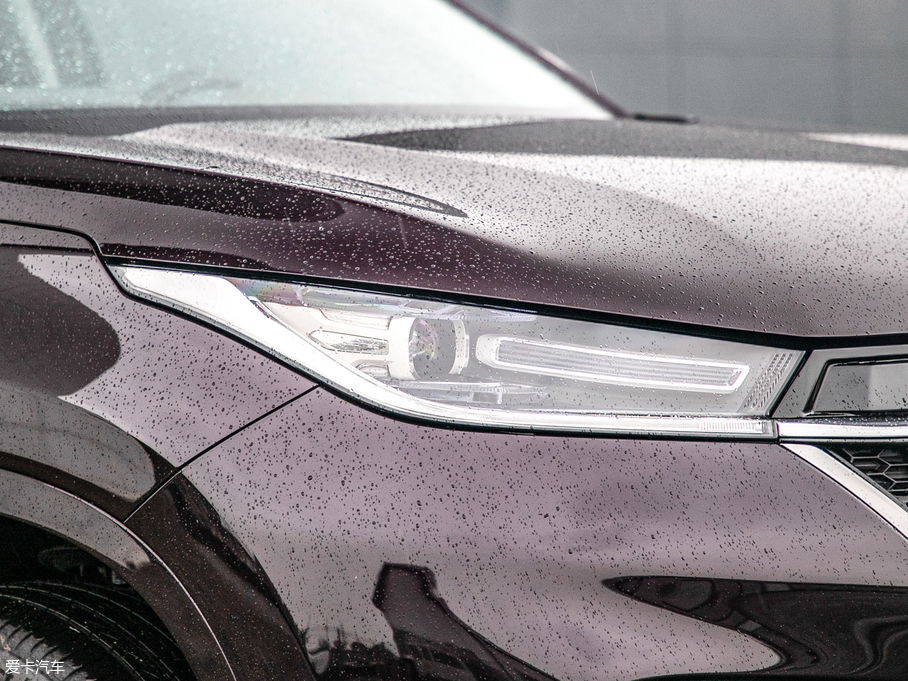 2019; TXL 1.6T (q)@ʯ