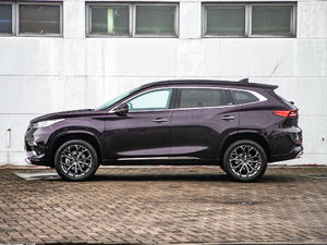 2019TXL 1.6T (q)@ʯ (c)