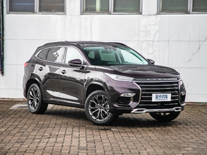 2019TXL 1.6T (q)@ʯ w^