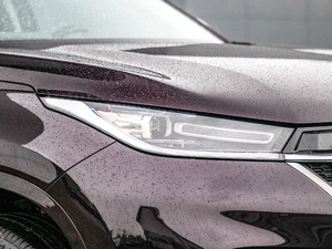 2019TXL 1.6T (q)@ʯ (x)(ji)^