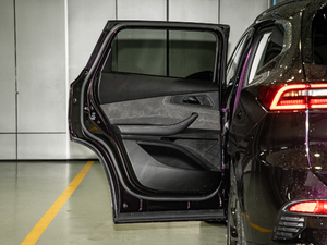 2019TXL 1.6T @ʯ ܇T