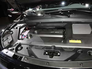 2019款TXL 1.6T 两驱星曜版 其它