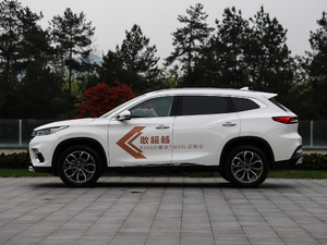 2019款TXL 1.6T 两驱钻石版 正侧（左）