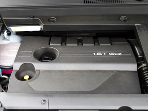 2019款TXL 1.6T 两驱钻石版 其它