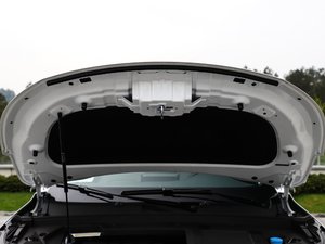 2019款TXL 1.6T 两驱钻石版 其它
