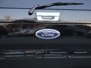 20193.5T (bio)(zhn) (x)(ji)^