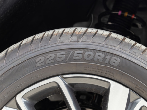 2021280TSI ԄӘsҫ ^