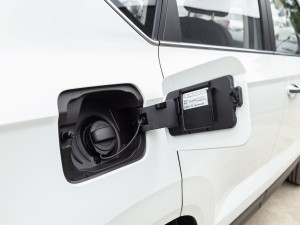 2021280TSI ԄӘsҫ w