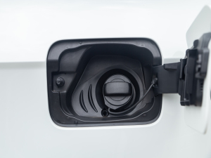 2021280TSI ԄӘsҫ ^