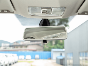 2021280TSI ԄӘsҫ ܇ȺҕR