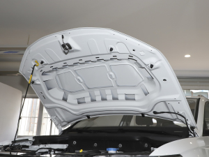 2022280TSI Ԅ(dng)Pro l(f)(dng)C(j)œ