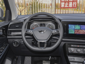 2022280TSI ԄMȡPro P