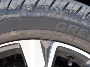 2022280TSI ԄӘsҫ ݆̥Ʒ