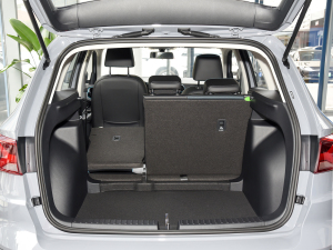 2022280TSI ԄӸ߹␂ g