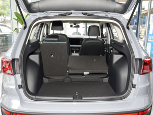 2022280TSI ԄӸ߹␂ g