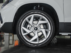 2023280TSI Ԅ(dng) ݆Ȧ