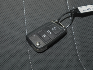 2023280TSI Ԅ(dng) ܇耳