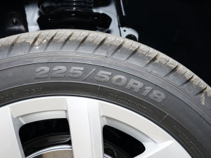 2023280TSI ԄMȡ ݆̥ߴ