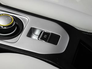 2019款基本型 驻车制动器
