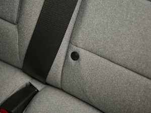 2019߾S(bio)(zhn)m(x)緽 g