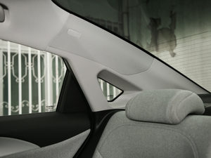 2019߾S(bio)(zhn)m(x)緽 g