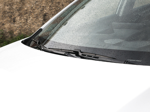 2020550KM xm C++ Pro ˢ