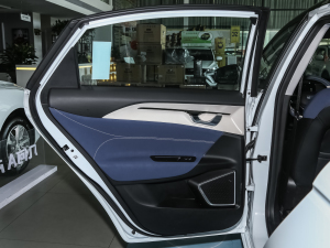 2021Pro m 600KM A600ħ ܇T