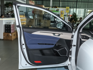 2021Pro m 600KM A600ħ {λ܇T