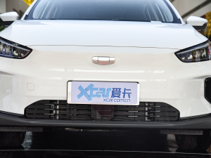 2021款C400 奋斗版 中网