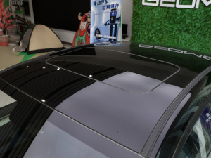 2022Pro 600KM tOPlus ܇