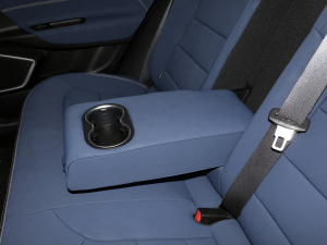 2022Pro 600KM tOPlus 