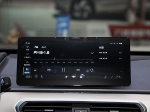 2022Pro 600KM tOPlus п؅^(q)