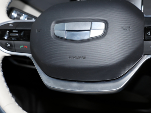 2022Pro 600KM tOPlus п؅^(q)