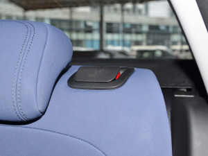 2022Pro 430KM OPlus g