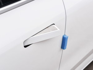 2022款Pro 430KM 出行版 主驾门拉手