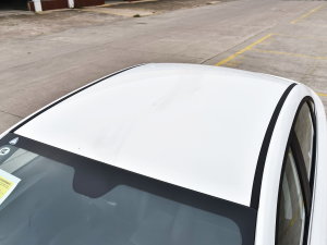 2022款Pro 430KM 出行版 车顶
