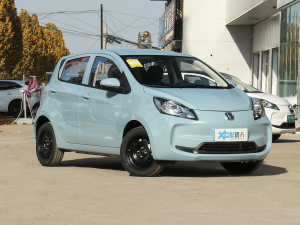 2021 Đ F䇣31.95kWh ǰ45