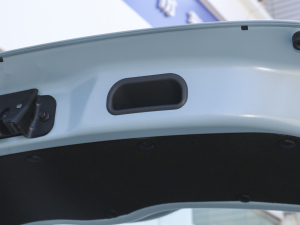 2021 Đ F䇣31.95kWh g