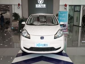 2021款国民版 多彩款 磷酸铁锂 (31.86kWh) 正前