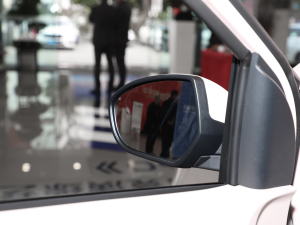 2021 ʿ F (31.86kWh) (x)(ji)^