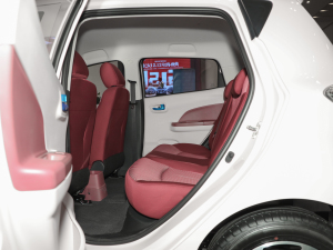 2021款国民版 多彩款 磷酸铁锂 (31.86kWh) 后排空间